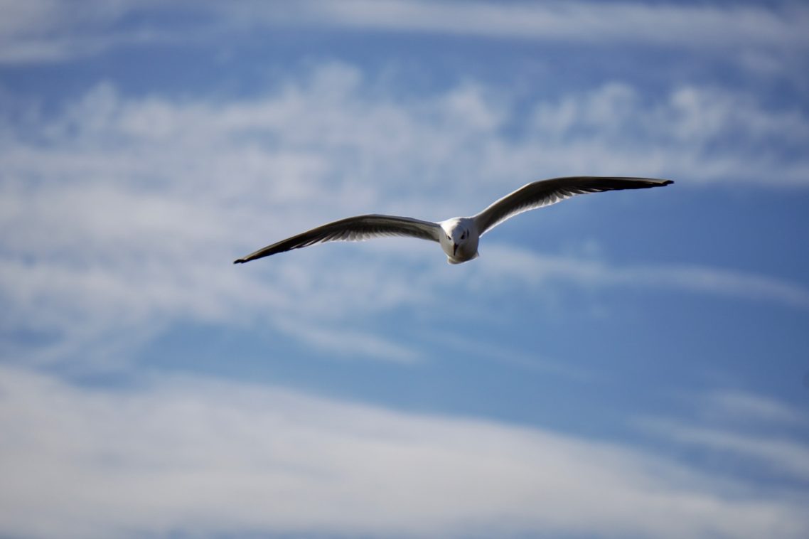 Ostsee Ferienwohnung