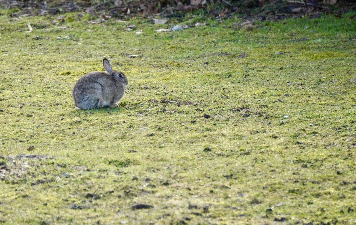Ostsee Hansa Park Resort am Meer